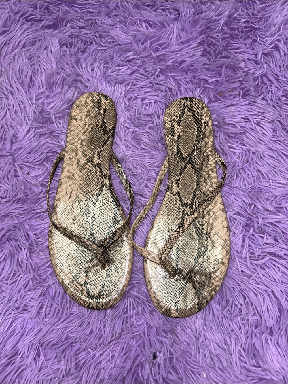 Lauren Conrad Snake Print Thong Sandals in Taupe
